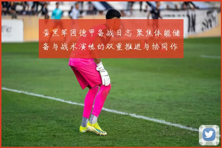 黄黑军团德甲备战日志 聚焦体能储备与战术演练的双重推进与协同作战