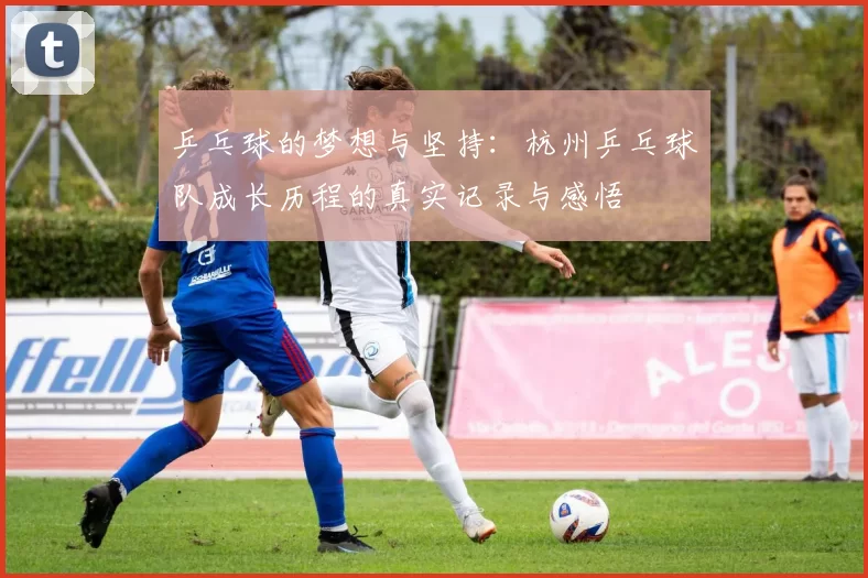 乒乓球的梦想与坚持：杭州乒乓球队成长历程的真实记录与感悟