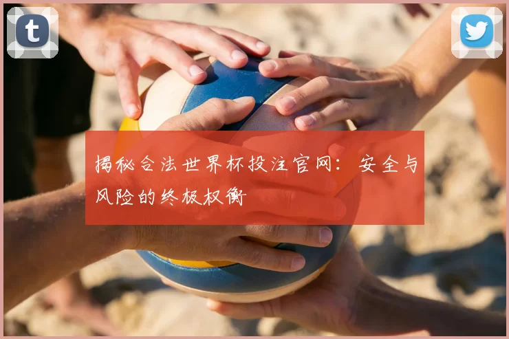 揭秘合法世界杯投注官网:安全与风险的终极权衡