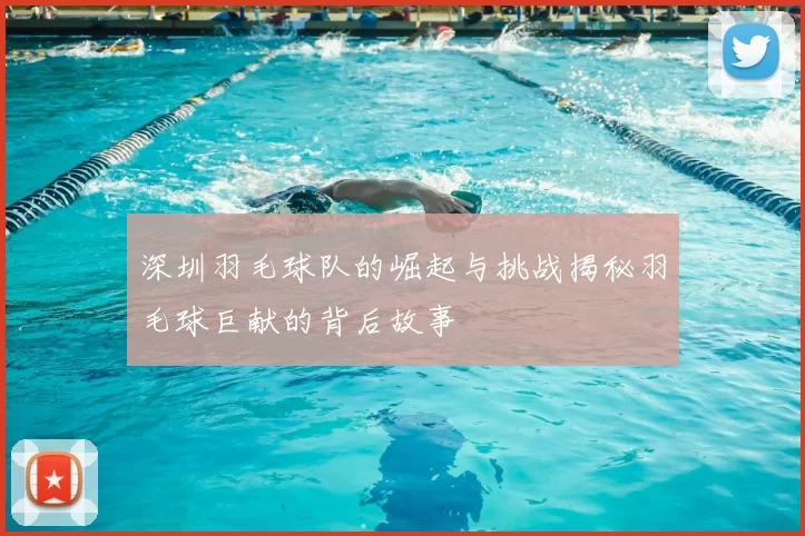 深圳羽毛球队的崛起与挑战揭秘羽毛球巨献的背后故事