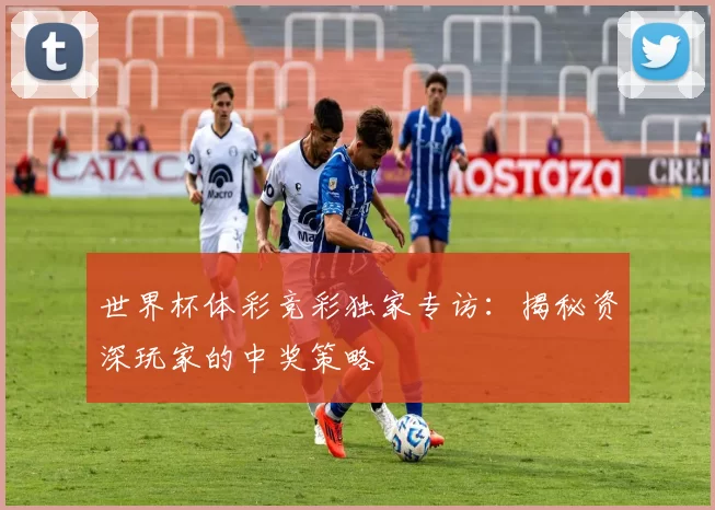 世界杯体彩竞彩独家专访：揭秘资深玩家的中奖策略