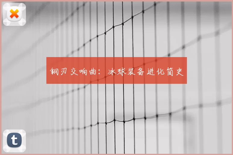 钢刃交响曲：冰球装备进化简史