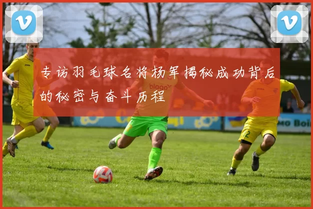专访羽毛球名将杨军揭秘成功背后的秘密与奋斗历程