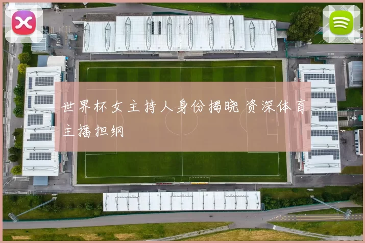 世界杯女主持人身份揭晓 资深体育主播担纲