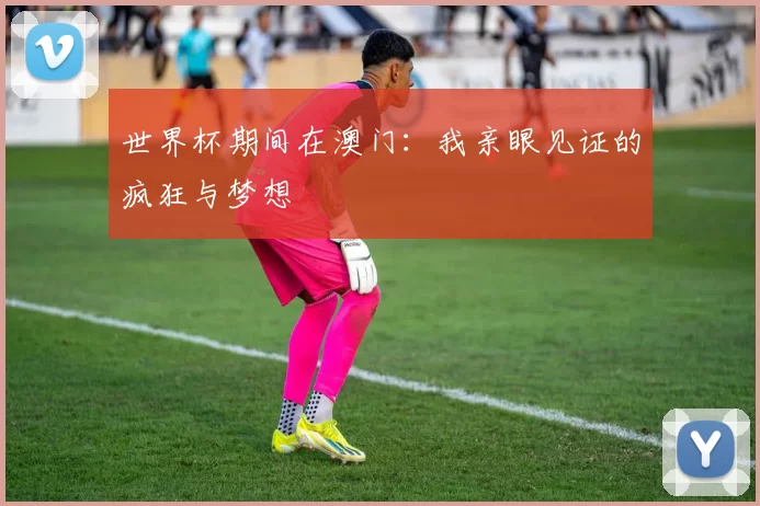 世界杯期间在澳门:我亲眼见证的疯狂与梦想