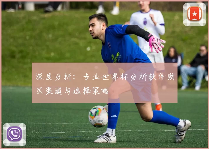 深度分析:专业世界杯分析软件购买渠道与选择策略