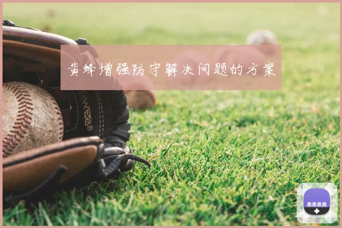 黄蜂增强防守解决问题的方案