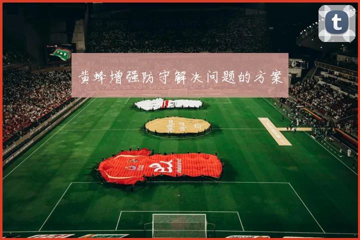 黄蜂增强防守解决问题的方案