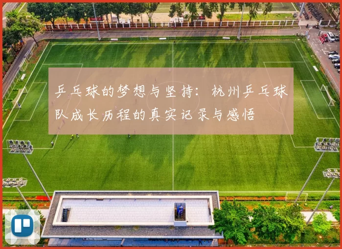 乒乓球的梦想与坚持:杭州乒乓球队成长历程的真实记录与感悟