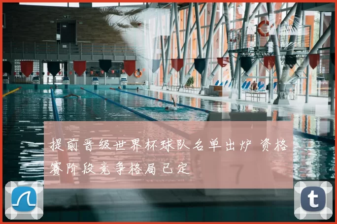 提前晋级世界杯球队名单出炉 资格赛阶段竞争格局已定