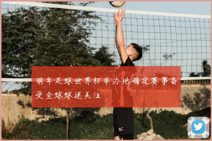 明年足球世界杯举办地确定赛事备受全球球迷关注