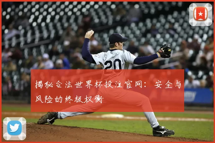 揭秘合法世界杯投注官网:安全与风险的终极权衡